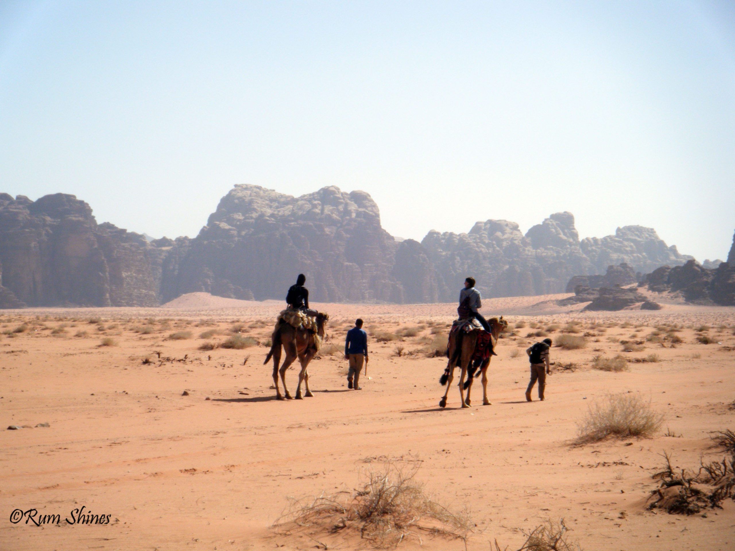 Wadi Rum desert camel tour